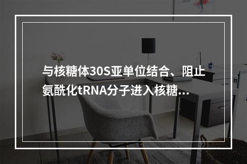 与核糖体30S亚单位结合、阻止氨酰化tRNA分子进入核糖体A