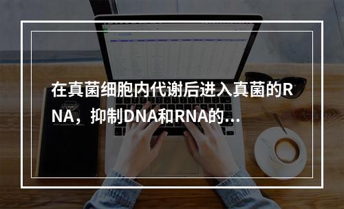 在真菌细胞内代谢后进入真菌的RNA，抑制DNA和RNA的合成