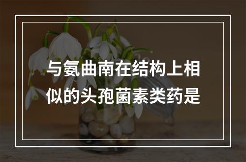 与氨曲南在结构上相似的头孢菌素类药是