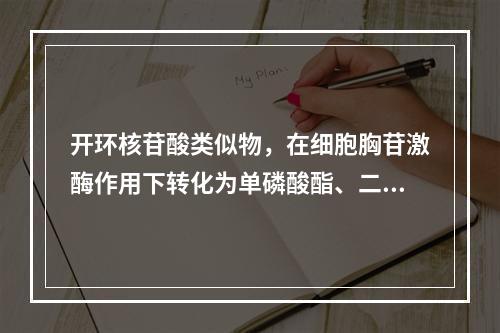 开环核苷酸类似物，在细胞胸苷激酶作用下转化为单磷酸酯、二磷酸