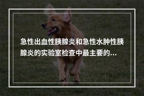 急性出血性胰腺炎和急性水肿性胰腺炎的实验室检查中最主要的鉴别