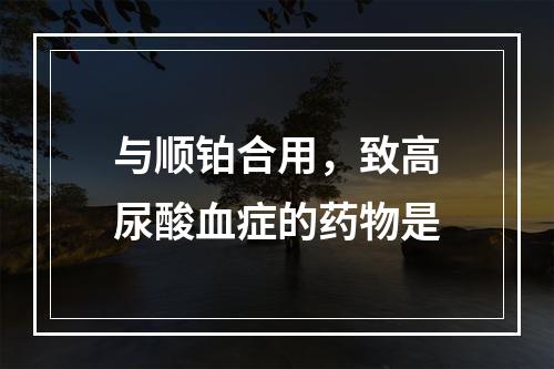 与顺铂合用，致高尿酸血症的药物是