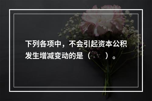 下列各项中，不会引起资本公积发生增减变动的是（　　）。