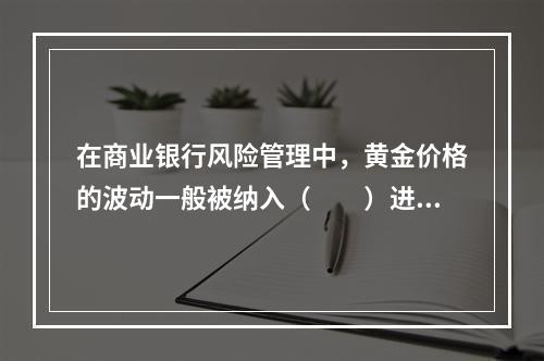 在商业银行风险管理中，黄金价格的波动一般被纳入（　　）进行管