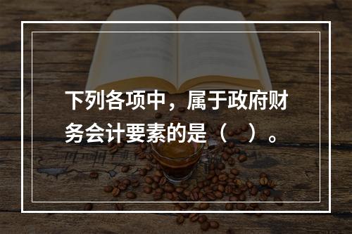 下列各项中，属于政府财务会计要素的是（　）。