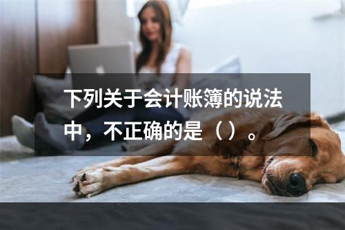 下列关于会计账簿的说法中，不正确的是（ ）。