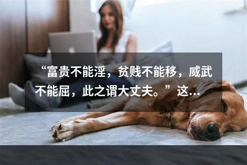 “富贵不能淫，贫贱不能移，威武不能屈，此之谓大丈夫。”这一名