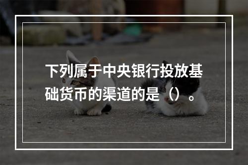 下列属于中央银行投放基础货币的渠道的是（）。