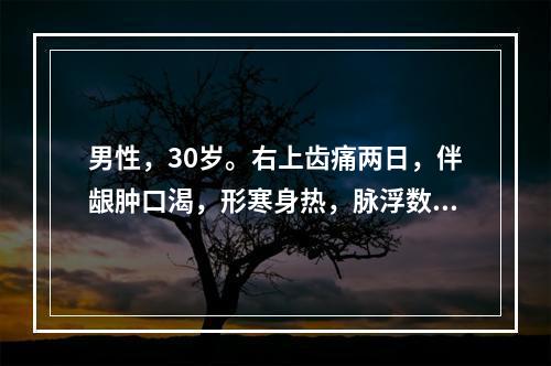 男性，30岁。右上齿痛两日，伴龈肿口渴，形寒身热，脉浮数。