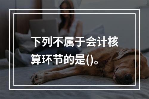 下列不属于会计核算环节的是()。