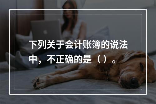 下列关于会计账簿的说法中，不正确的是（ ）。