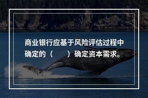 商业银行应基于风险评估过程中确定的（　　）确定资本需求。