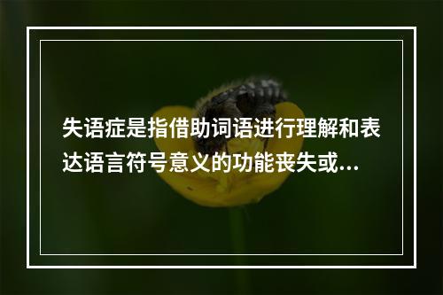 失语症是指借助词语进行理解和表达语言符号意义的功能丧失或言语