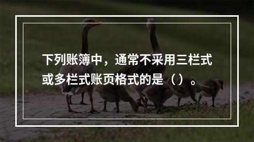 下列账簿中，通常不采用三栏式或多栏式账页格式的是（ ）。