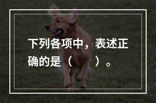 下列各项中，表述正确的是（　　）。