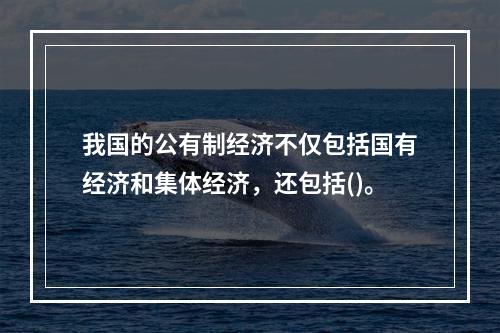 我国的公有制经济不仅包括国有经济和集体经济，还包括()。