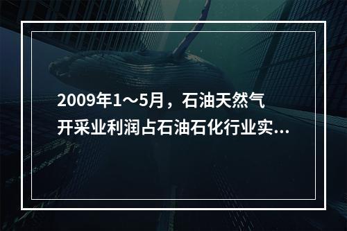 2009年1～5月，石油天然气开采业利润占石油石化行业实现利