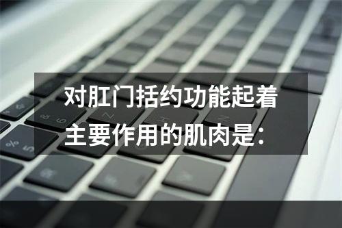 对肛门括约功能起着主要作用的肌肉是：