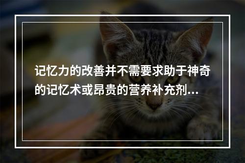 记忆力的改善并不需要求助于神奇的记忆术或昂贵的营养补充剂。一