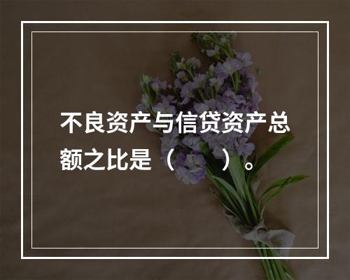 不良资产与信贷资产总额之比是（  ）。