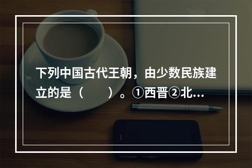 下列中国古代王朝，由少数民族建立的是（　　）。①西晋②北魏③