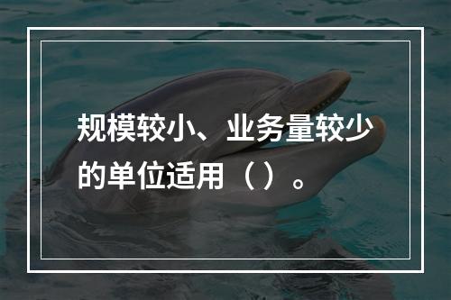 规模较小、业务量较少的单位适用（ ）。