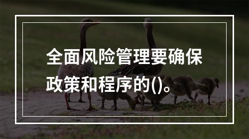 全面风险管理要确保政策和程序的()。