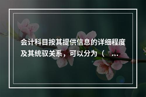 会计科目按其提供信息的详细程度及其统驭关系，可以分为（　　）