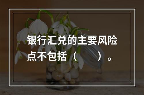 银行汇兑的主要风险点不包括（  ）。