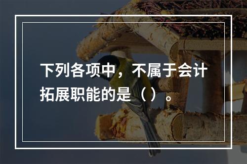 下列各项中，不属于会计拓展职能的是（ ）。