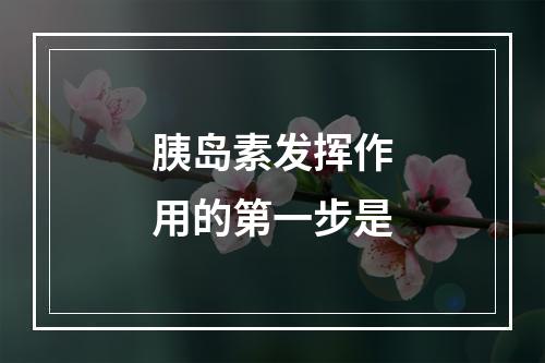 胰岛素发挥作用的第一步是