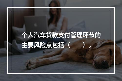 个人汽车贷款支付管理环节的主要风险点包括（　　）。