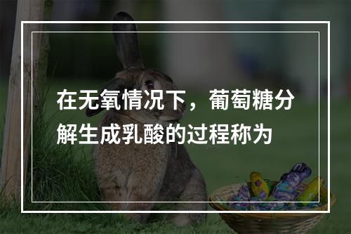 在无氧情况下，葡萄糖分解生成乳酸的过程称为