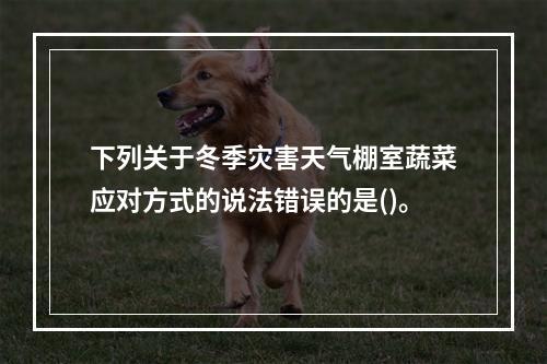 下列关于冬季灾害天气棚室蔬菜应对方式的说法错误的是()。