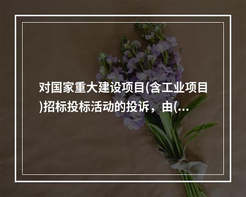 对国家重大建设项目(含工业项目)招标投标活动的投诉，由()受