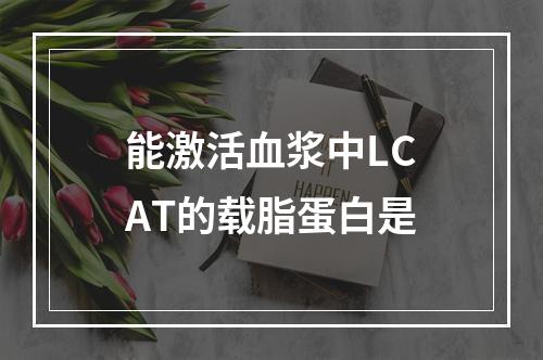 能激活血浆中LCAT的载脂蛋白是