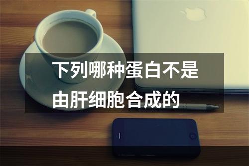 下列哪种蛋白不是由肝细胞合成的