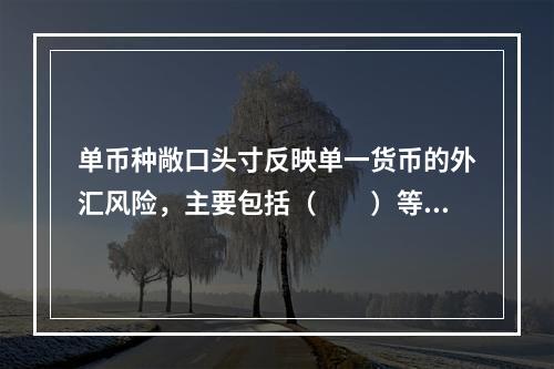 单币种敞口头寸反映单一货币的外汇风险，主要包括（　　）等组成