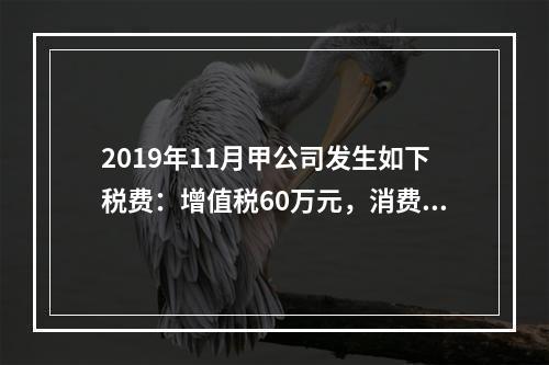 2019年11月甲公司发生如下税费：增值税60万元，消费税8