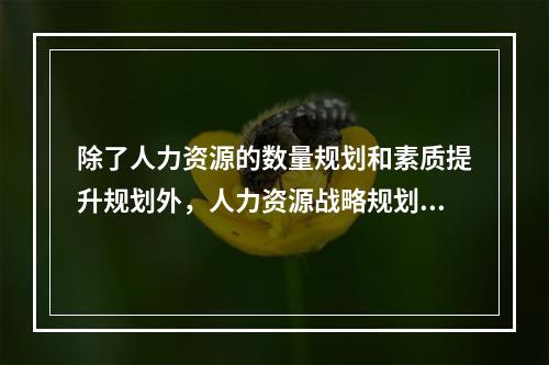 除了人力资源的数量规划和素质提升规划外，人力资源战略规划还