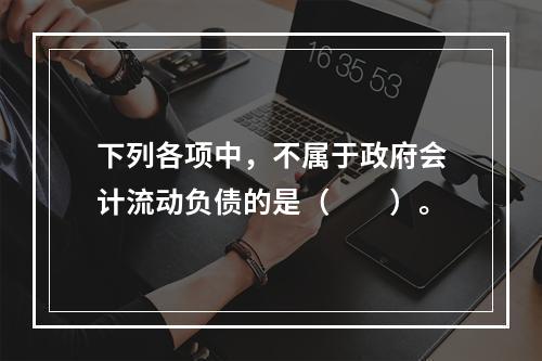 下列各项中，不属于政府会计流动负债的是（　　）。