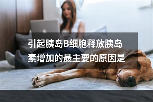 引起胰岛B细胞释放胰岛素增加的最主要的原因是