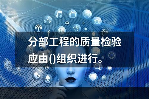 分部工程的质量检验应由()组织进行。