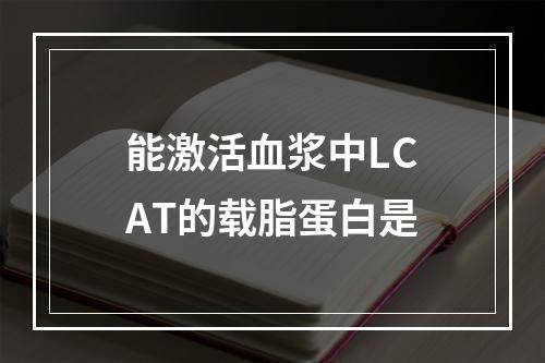 能激活血浆中LCAT的载脂蛋白是