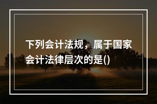 下列会计法规，属于国家会计法律层次的是()