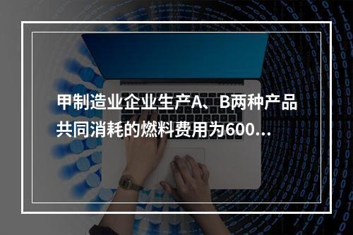 甲制造业企业生产A、B两种产品共同消耗的燃料费用为6000元