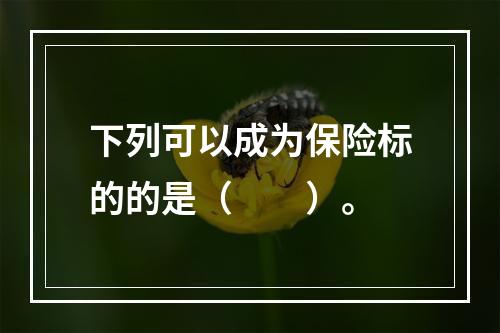 下列可以成为保险标的的是（　　）。