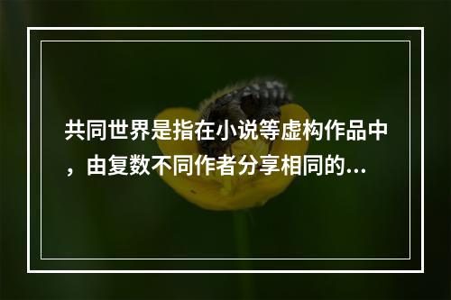 共同世界是指在小说等虚构作品中，由复数不同作者分享相同的世界