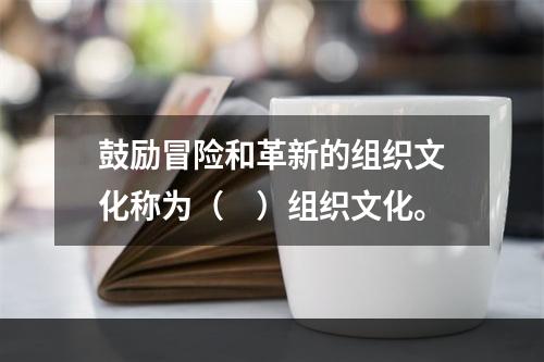 鼓励冒险和革新的组织文化称为（　）组织文化。