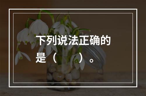 下列说法正确的是（　　）。